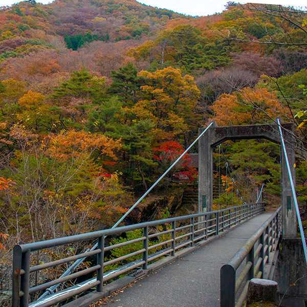 紅葉狩り