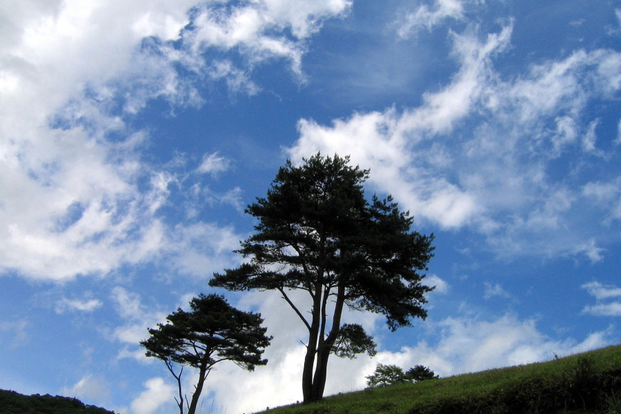 霧降高原