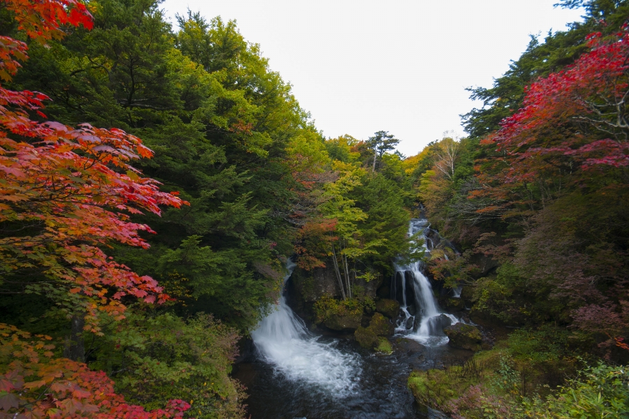 竜頭の滝