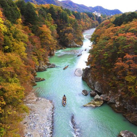 【2024】日光鬼怒川の紅葉